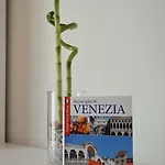 Valentina Venezia Malcontenta